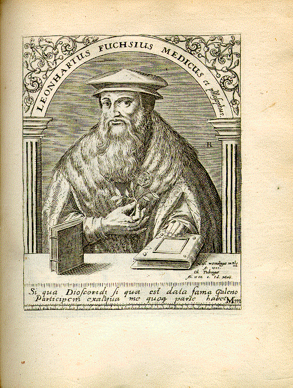 Fuchs, Leonhart (1501-1566); Arzt, Philosoph, Botaniker = Mm1