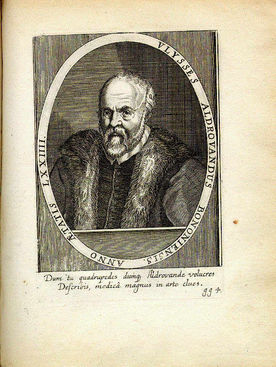 Aldrovandi, Ulisse (1522-1605); Philosoph, Arzt = gg4