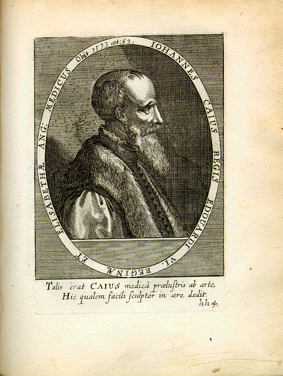 Key, John (Caius; 1510-1573); Arzt = hh4