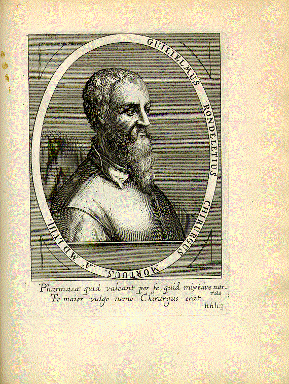 Rondelet, Guillaume (1507-1566); Arzt, Botaniker = hhh3