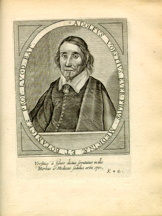 Vorst, Adolph (1597-1663); Arzt, Botaniker = k*2