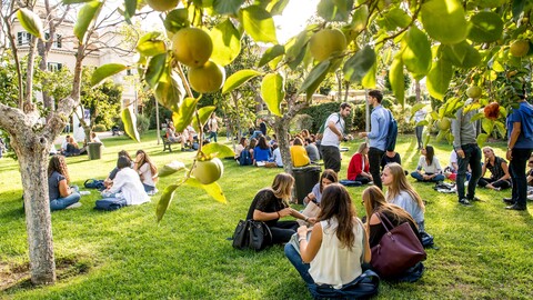 Viele Studierende sitzen und stehen auf einer grünen Wiese in Grüppchen zusammen.