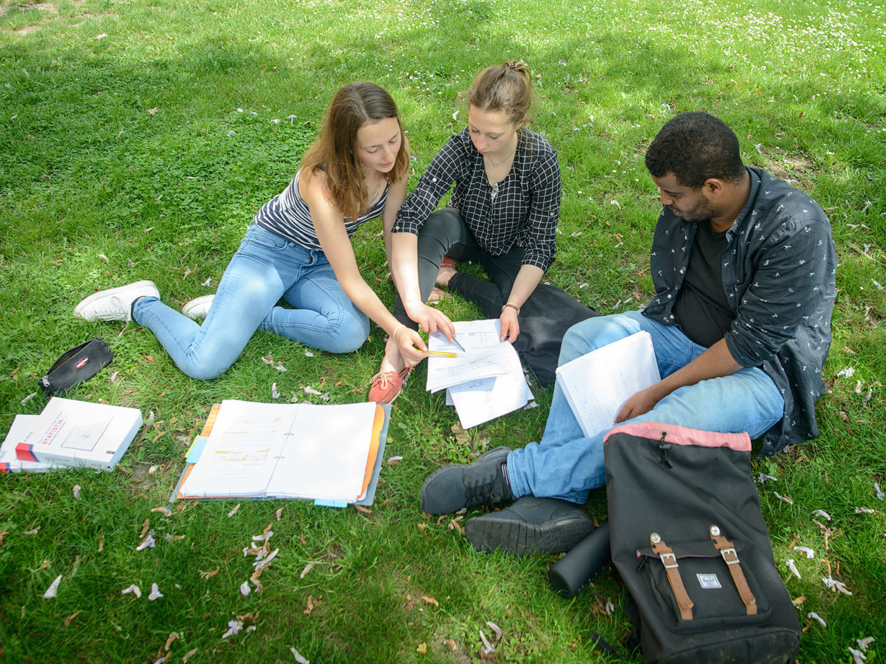 Drei Studierende sitzen auf einer Wiese und lernen gemeinsam.