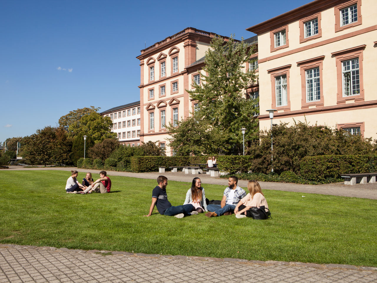 Auf einer Wiese sitzen Gruppen von Studierenden. Im Hintergrund ist das Schloss Mannheims.