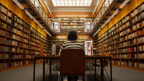 Eine studierende Person sitzt mit dem Rücken zur Kamera an einem Schreibtisch in einer Bibliothek.