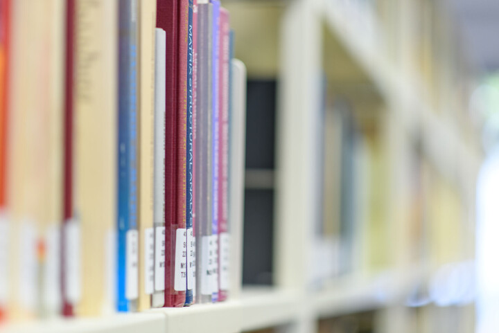 Bücher in einem Bücherregal