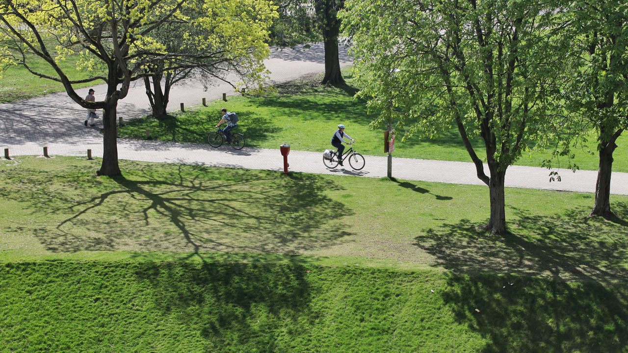 Ein grüner Park mit vielen Bäumen. Auf den Wegen fahren zwei Fahrradfahrer.