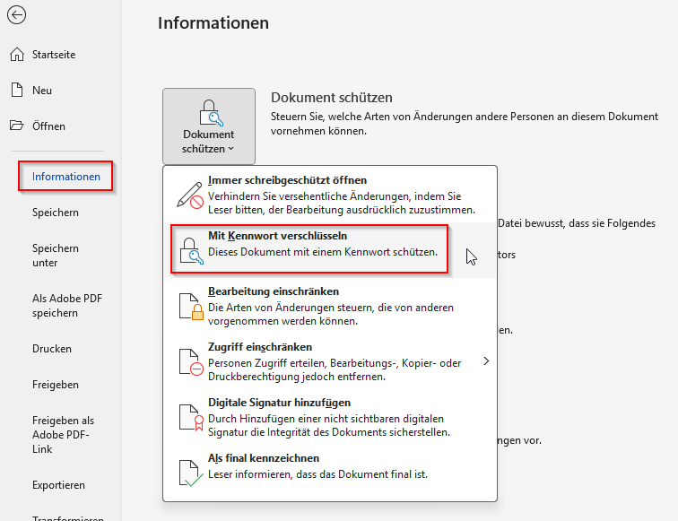 Screenshotz zur Funktion "Dokument schützen"