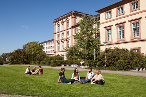Auf einer Wiese sitzen Gruppen von Studierenden. Im Hintergrund ist das Schloss Mannheims. 