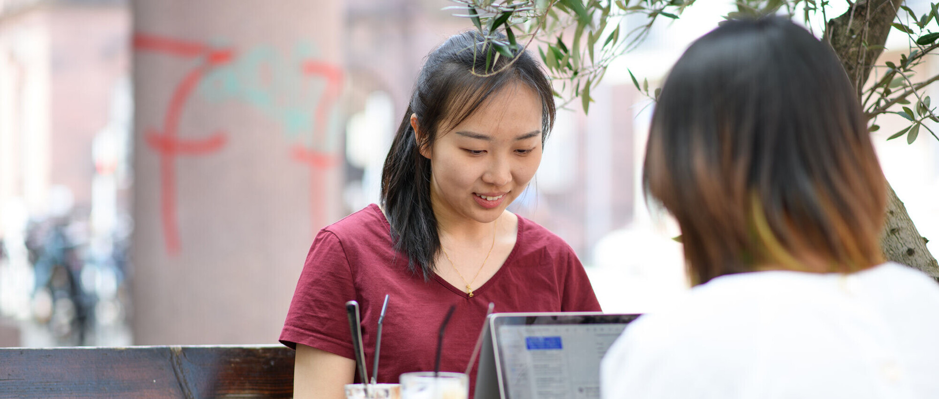 Zwei Studentinnen sitzen sich gegenüber unter einem Olivenbaum im Freien und arbeiten an ihrem Laptop