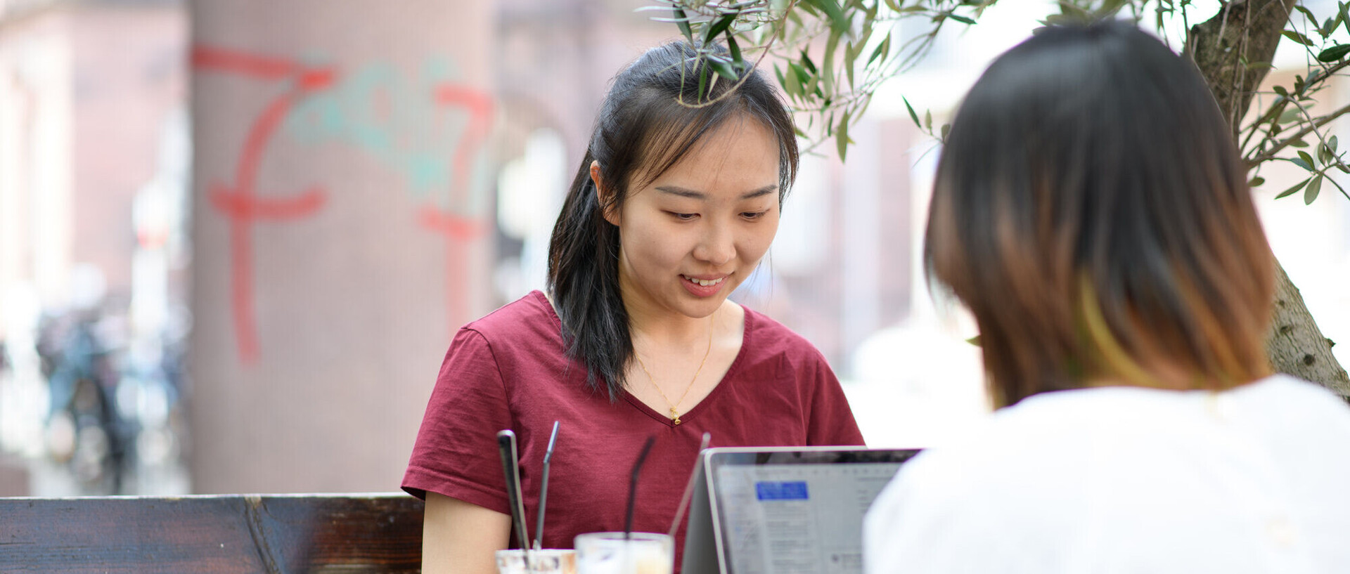 Zwei Frauen sitzen sich gegenüber unter einem Olivenbaum im Freien und arbeiten an ihrem Laptop