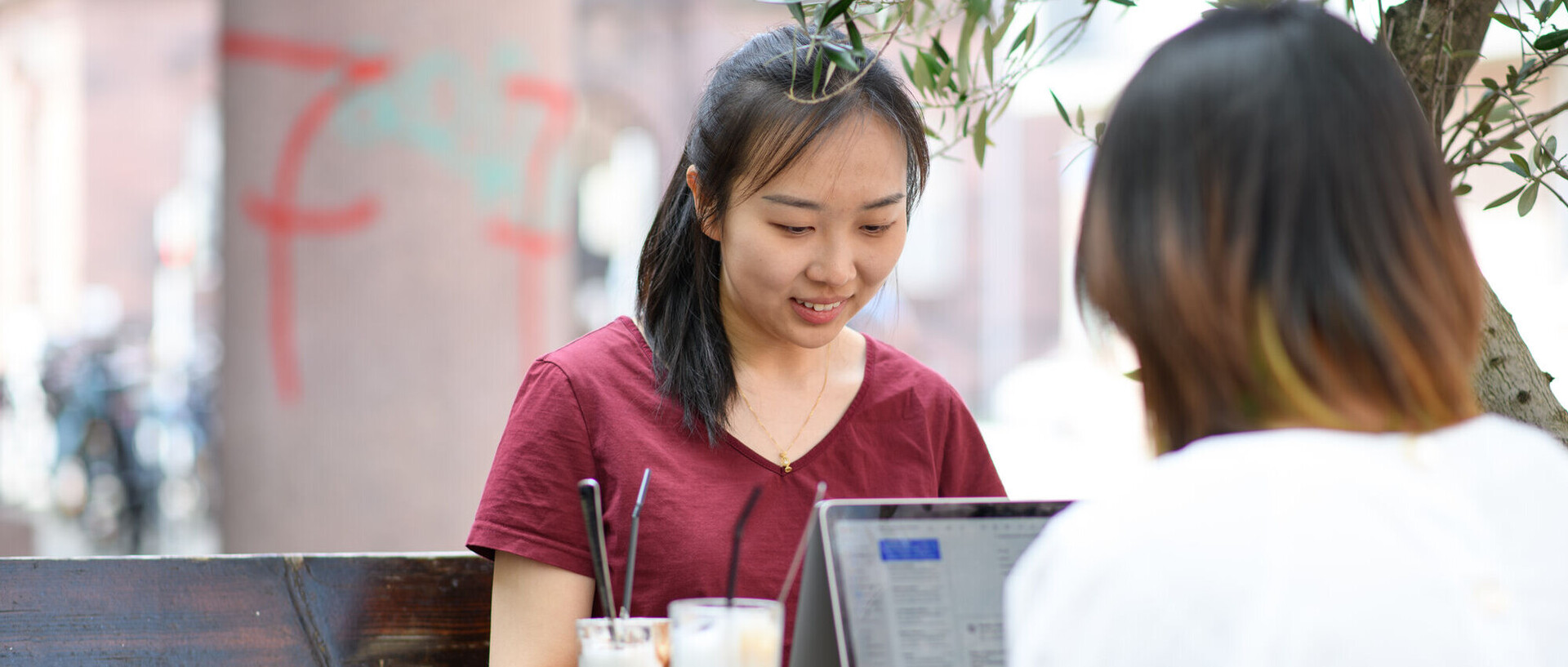 Zwei Studentinnen sitzen sich gegenüber unter einem Olivenbaum im Freien und arbeiten an ihrem Laptop