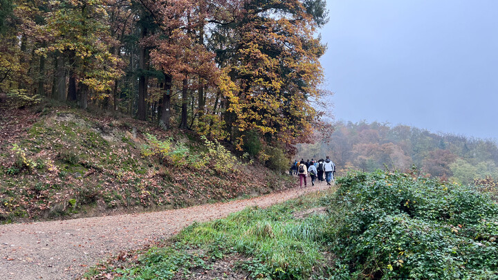 Eine Wandergruppe auf einem Weg an einem Herbsttag.