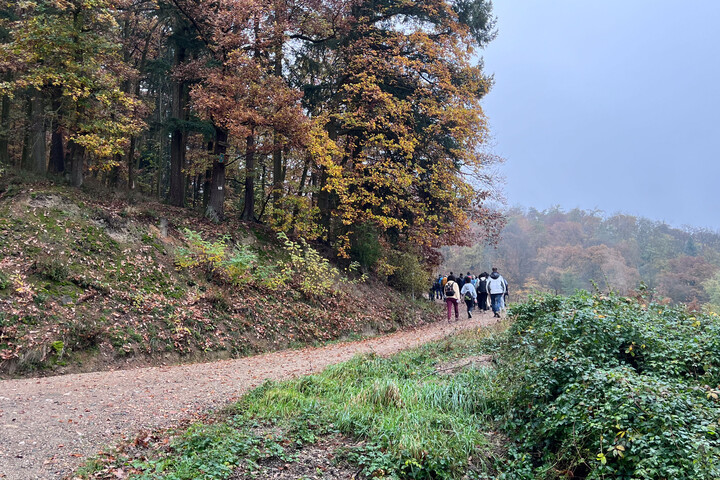 Eine Wandergruppe auf einem Weg an einem Herbsttag.