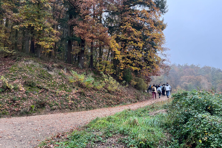 Eine Wandergruppe auf einem Weg an einem Herbsttag.
