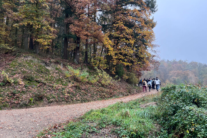 Eine Wandergruppe auf einem Weg an einem Herbsttag.