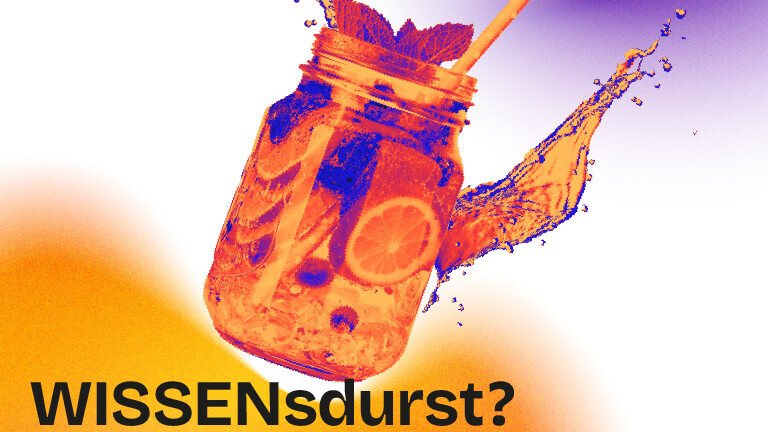 Ein Glas gefüllt mit Eiswürfeln, Orangenscheiben, Minzblättern und einem Strohhalm.