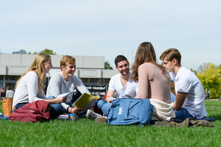 Eine Gruppe fünf Studierender sitzen mit Lernmaterialien in der Hand auf der Mensawiese. 