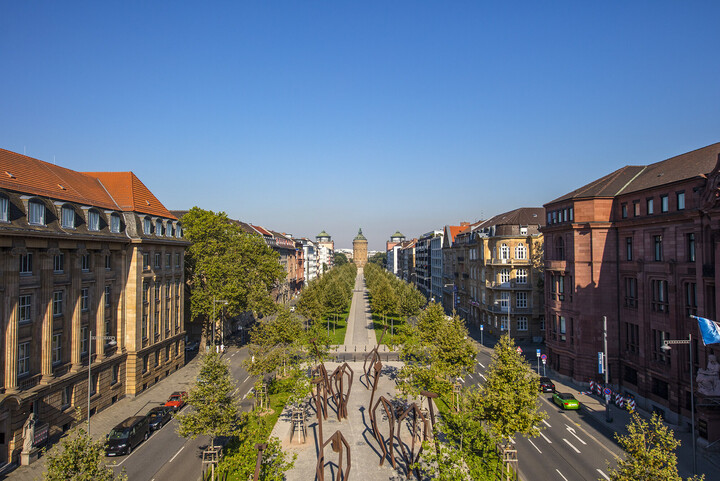 Blick auf die Augustaanlage im Abendlicht, eine als Allee ausgebaute, vierspurige Straße in Mannheim.