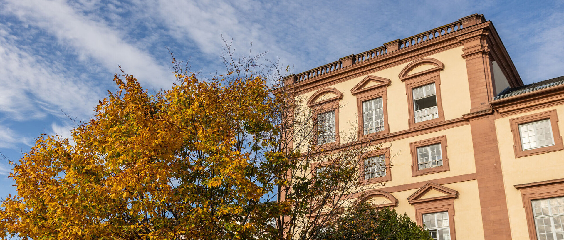Außenaufnahme eines Teils des Mannheimer Schlosses mit einem herbstlichen Baum im Vordergrund.