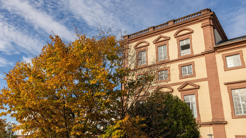 Außenaufnahme eines Teils des Mannheimer Schlosses mit einem herbstlichen Baum im Vordergrund.