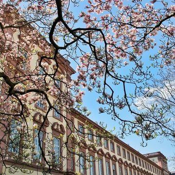 Dekanat der Abteilung Rechtswissenschaft