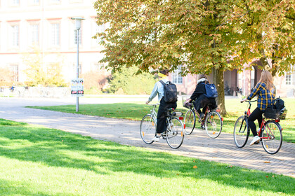 Drei Studentinnen fahren mit dem Fahrrad an einem herbstlichen Baum vorbei.