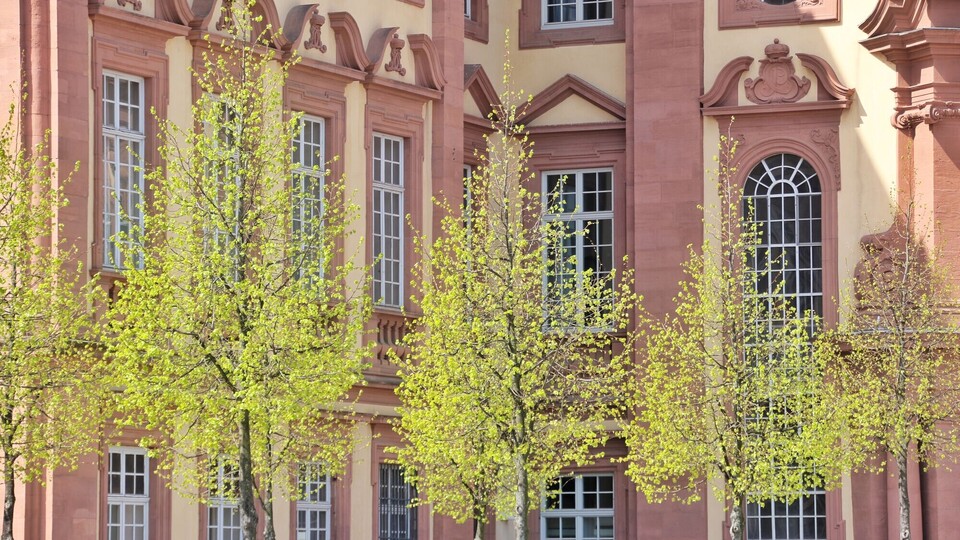 Bäume vor dem Schloss Mannheim
