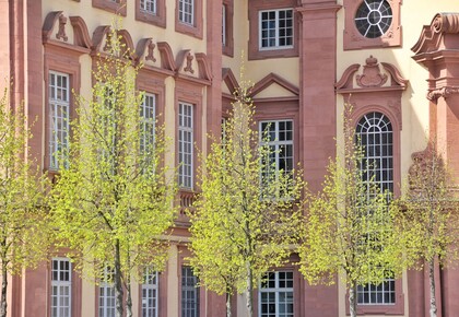 Bäume vor dem Schloss Mannheim