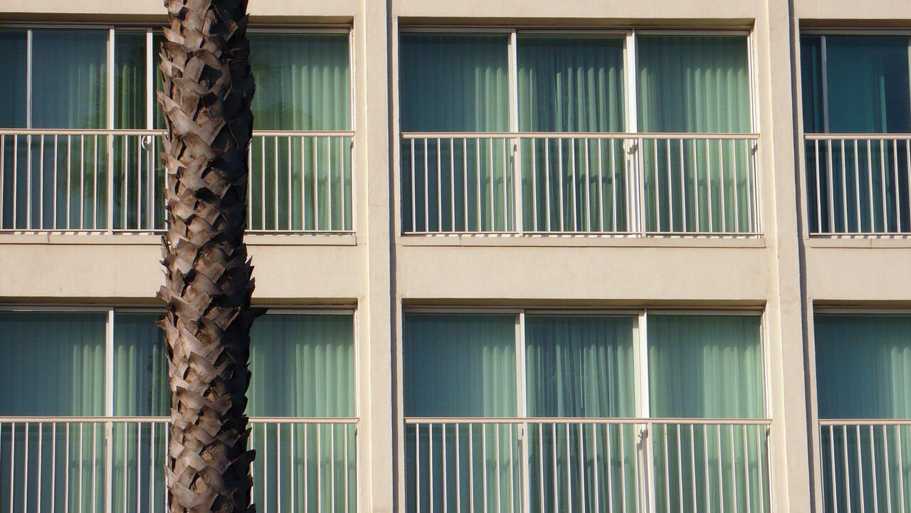 Hausfront mit großen Fenstern und französischen Balkonen. Links davor schneidet ein Palmenstamm durch das Bild. Oben rechts steht ein Mann in einer Schiebetür.