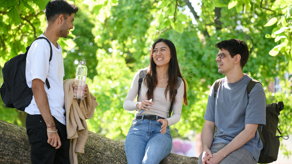 Campusleben, Studierende am Mensawiese, Studierende
