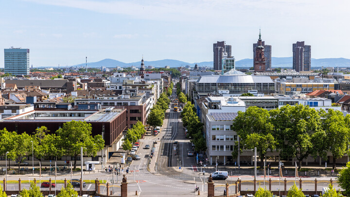 Ausblick über Mannheim vom Schlossdach aus. In der Ferne erkennt man die drei typischen Hochhäuser der Neckaruferbebauung Nord.