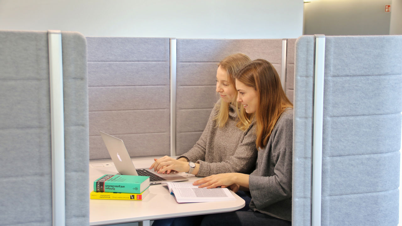 Zwei Studentinnen lernen gemeinsam an einem Tisch. Sie tragen beide graue Pullover. Vor ihnen liegen ein Laptop und drei Bücher.