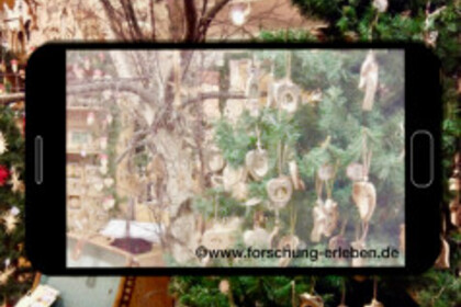 Ein Handy fotografiert einen geschmückten Tannenbaum neben einem Baum ohne Blätter