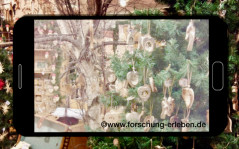 Ein Handy fotografiert einen geschmückten Tannenbaum neben einem Baum ohne Blätter
