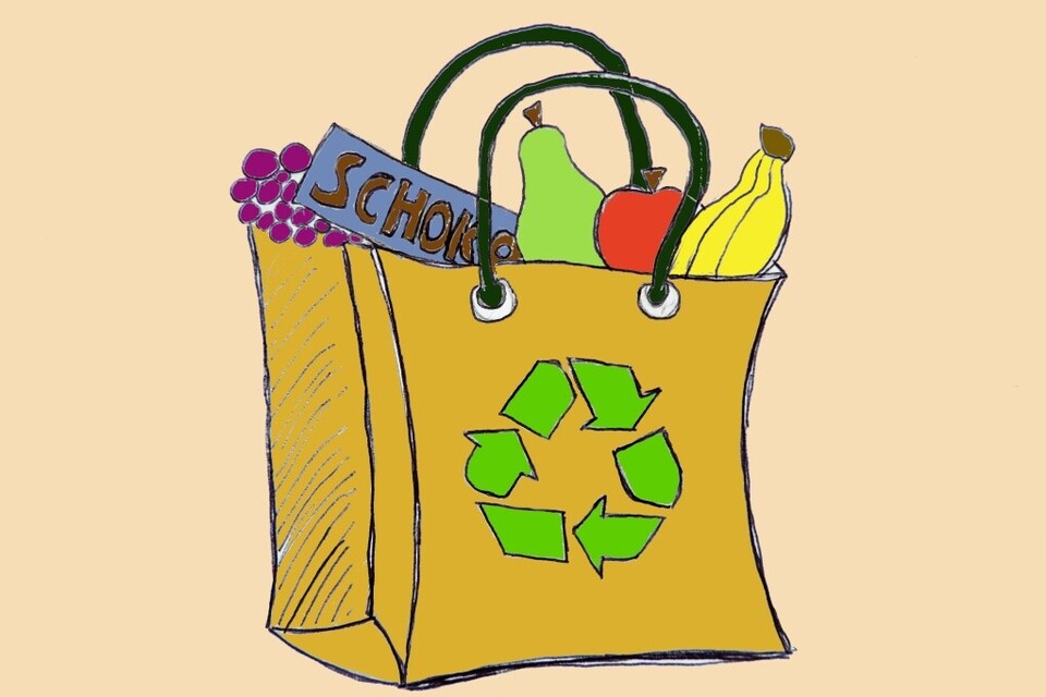Grafik einer Einkaufstüte mit Lebensmitteln. Auf der Tasche ist ein Recyclinglogo abgebildet.