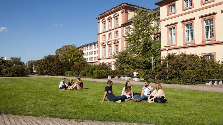 Seven students sit in two groups on the mensawiese.