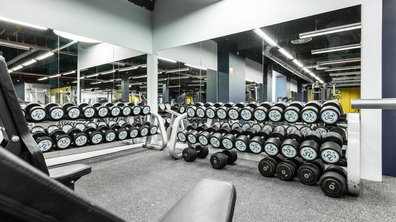 Kurzhantelbereich im T1 Fitnessstudio