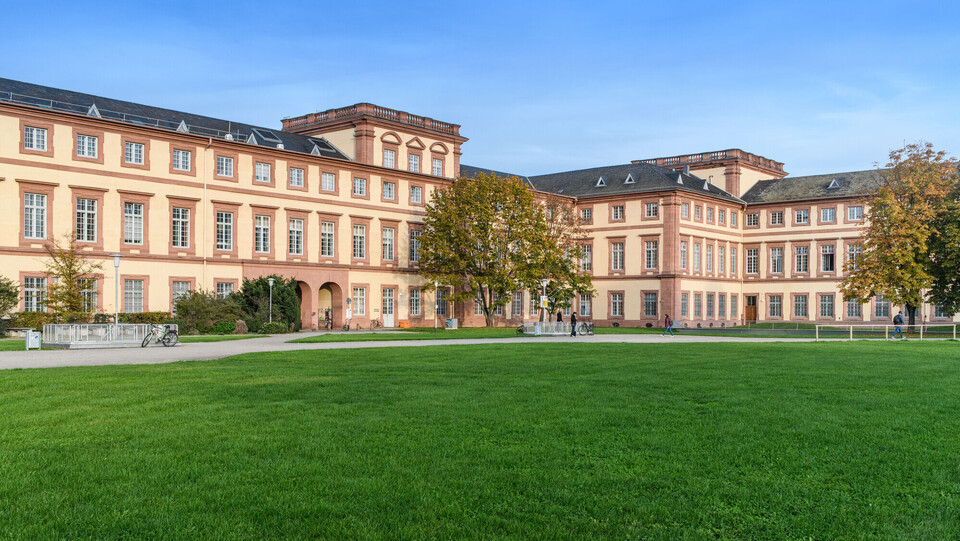 Schloss der Uni Mannheim mit Rasenfläche im Vordergrund.