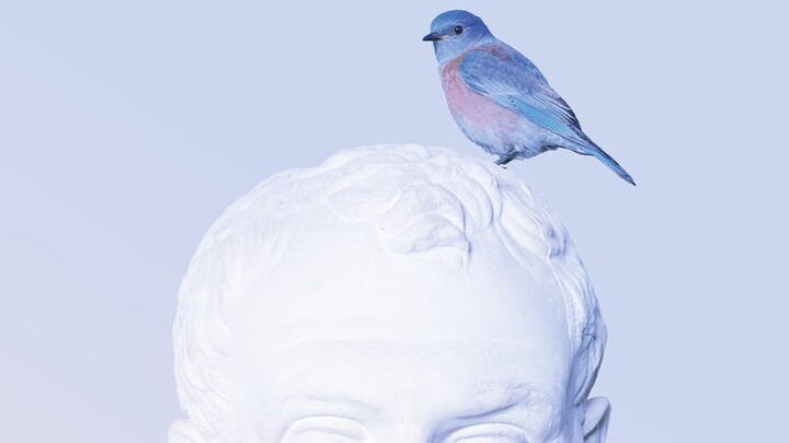 Der Kopf einer Figur aus dem Antikensaal. Auf ihrem Kopf ist ein Vogel per Fotomontage eingefügt.
