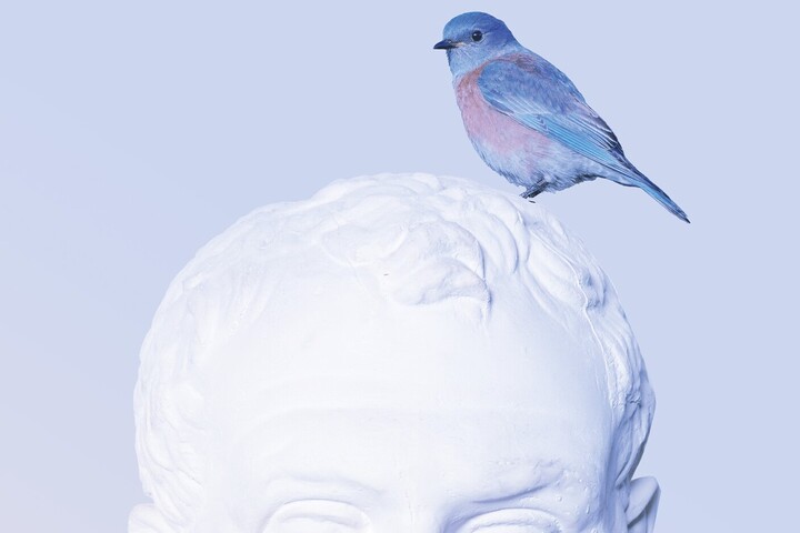 Der Kopf einer Figur aus dem Antikensaal. Auf ihrem Kopf ist ein Vogel per Fotomontage eingefügt.