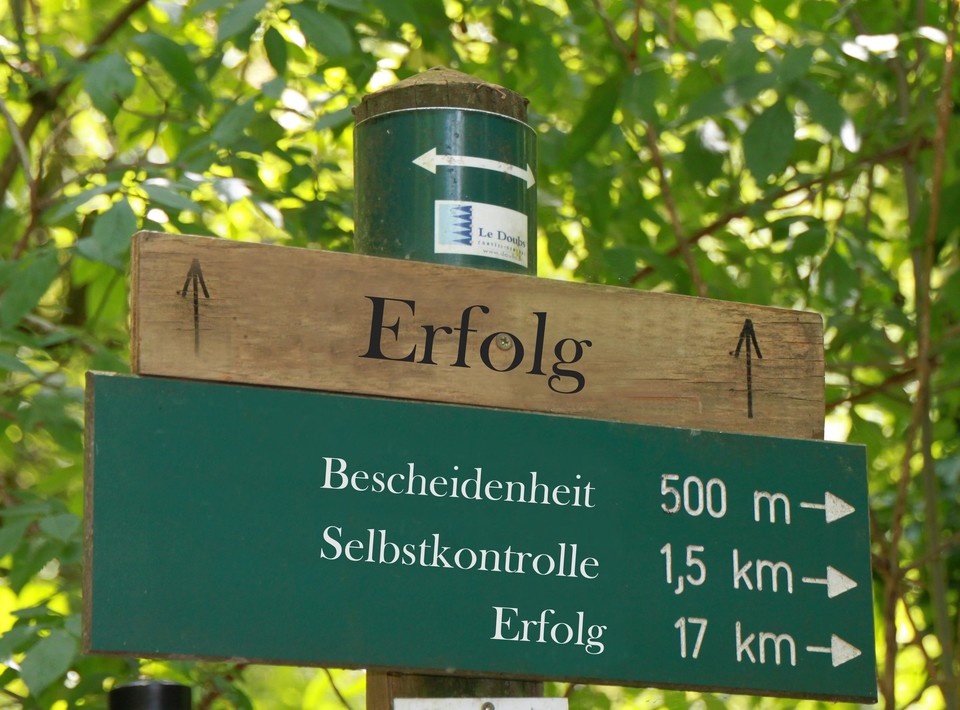 Ein Wegweiser im Wald. Auf einem Holzbrett mit Richtungsangabe geradeaus steht "Erfolg", auf dem darunter angebrachten Schild stehen "Bescheidenheit", "Selbstkontrolle" und "Erfolg" mit Richtung nach rechts und Distanzangaben von 500 m bis 17 km.