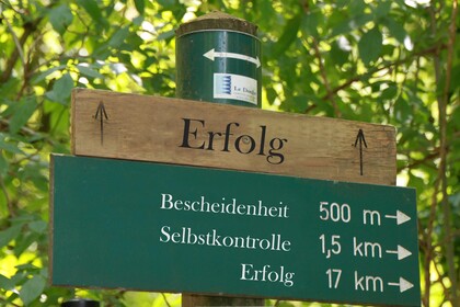 Ein Wegweiser im Wald. Auf einem Holzbrett mit Richtungsangabe geradeaus steht "Erfolg", auf dem darunter angebrachten Schild stehen "Bescheidenheit", "Selbstkontrolle" und "Erfolg" mit Richtung nach rechts und Distanzangaben von 500 m bis 17 km.