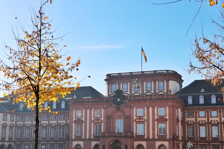 Baum mit gelben Blättern vor dem Schloss Mannheim bei blauem Himmel