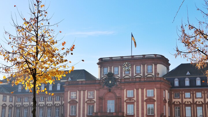 Baum mit gelben Blättern vor dem Schloss Mannheim bei blauem Himmel