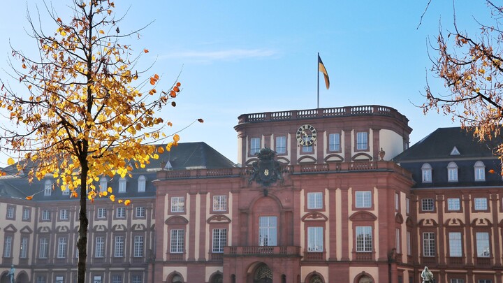 Baum mit gelben Blättern vor dem Schloss Mannheim bei blauem Himmel