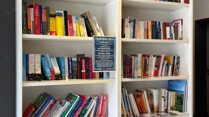 In einem weißen Regal stehen viele Bücher.