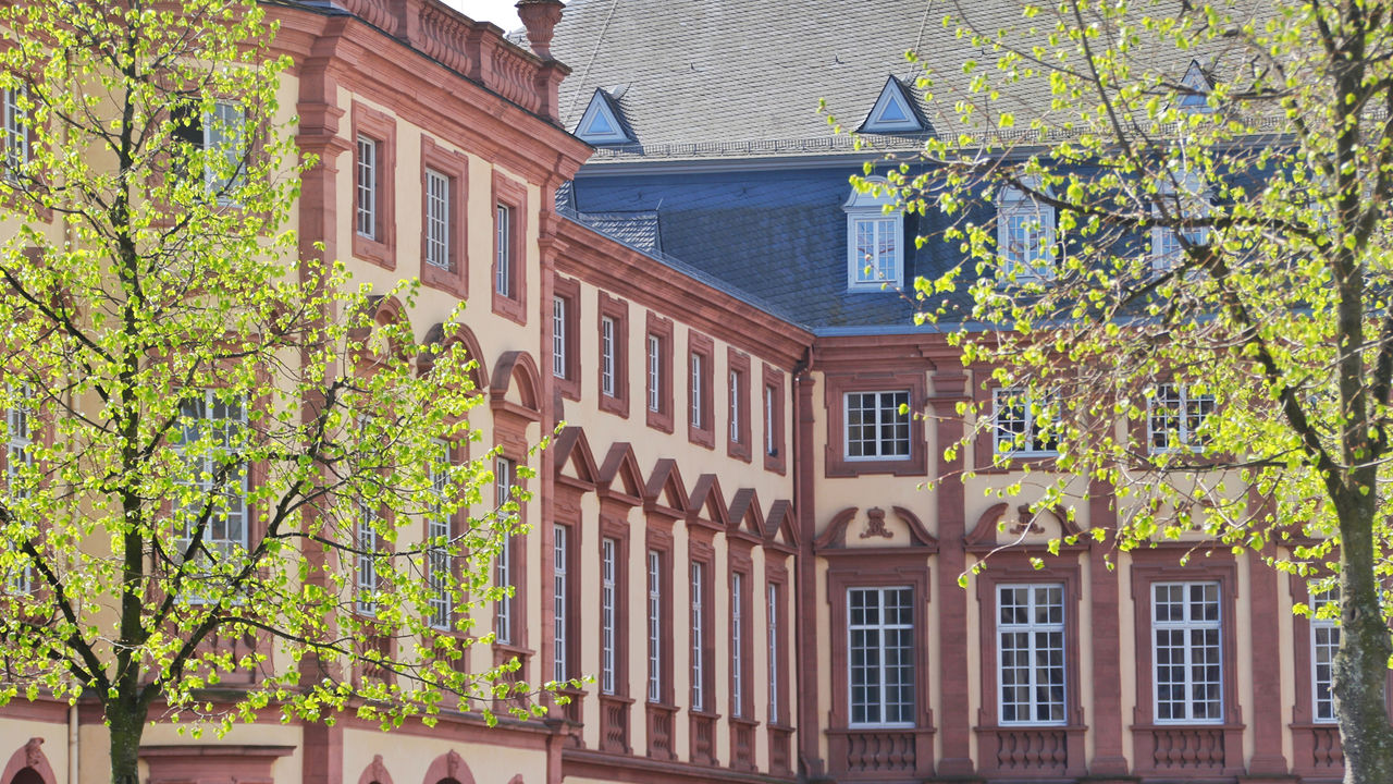 Die rot-gelbe Fassade des Mannheimer Schlosses mit unzähligen Fenstern. Davor stehen zwei Bäume mit kleinen, grünen Blättern.