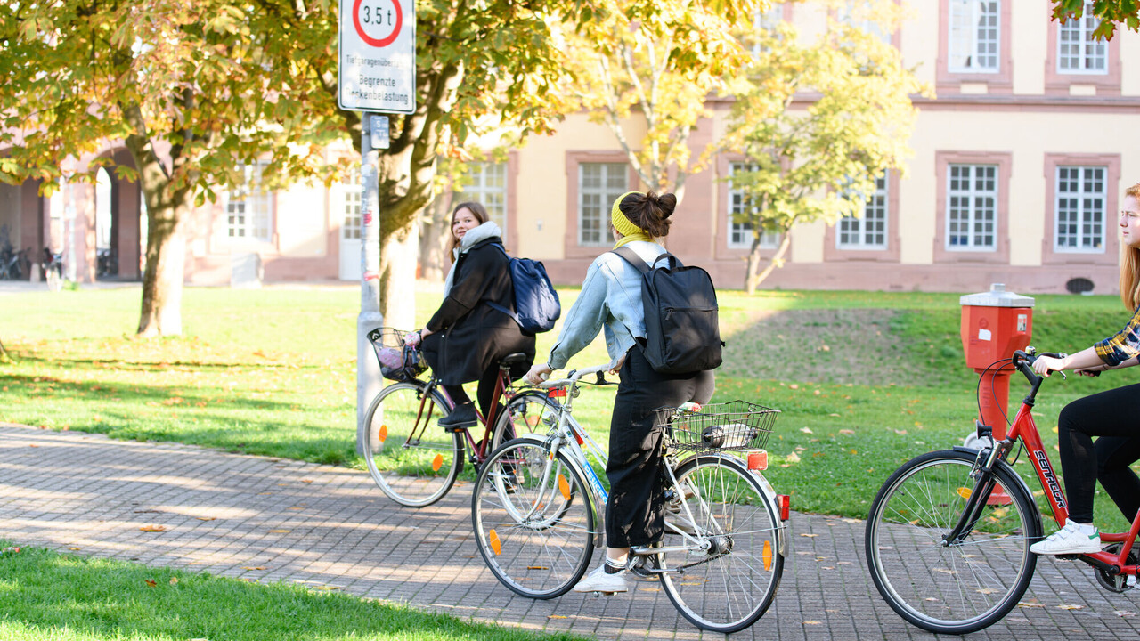 Three female students on their bicycles in the autumn afternoon sun.