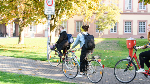 Three female students on their bicycles in the autumn afternoon sun.